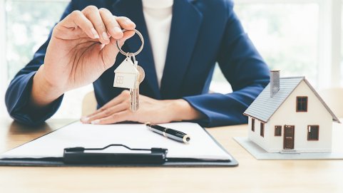 Bild zum Artikel Immobilienvermittlung